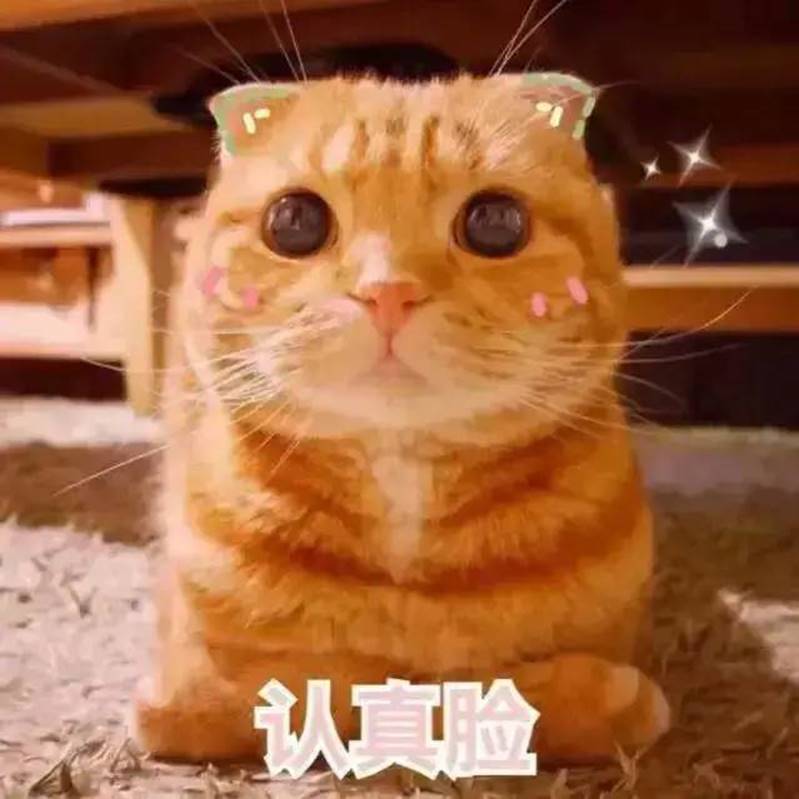 说明: 图片 说明: 图片