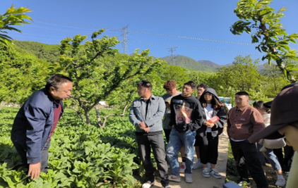 说明: 图片 说明: 图片