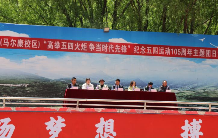 图片5